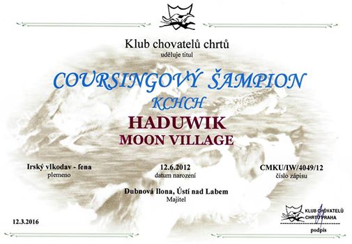 Champion of KCHCH – coursing