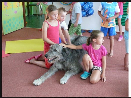 “How to Be Safe with Dogs”