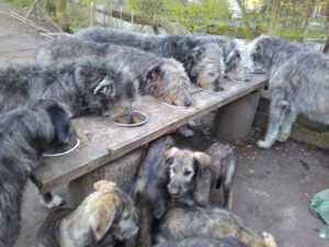 Dinnertime