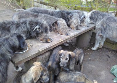 Dinnertime