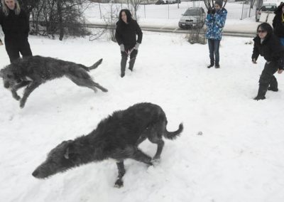 Lollobrigida ans Lassi in the snow