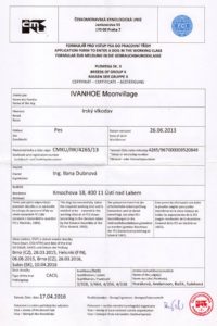 Ivanhoe Moonvillage