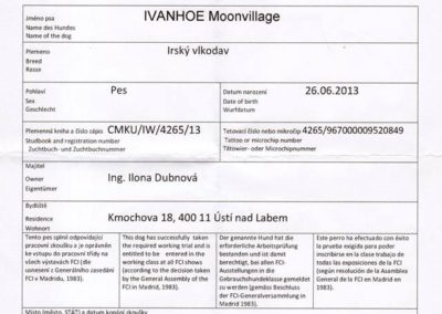 Ivanhoe Moonvillage