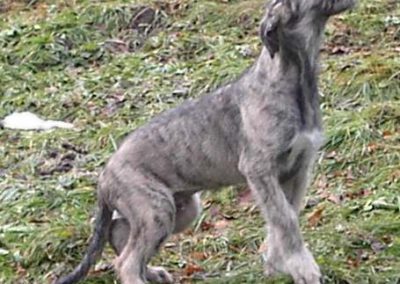 Baldur