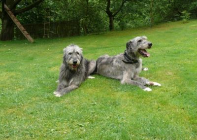 Ginna and Grandauer jun. 2017
