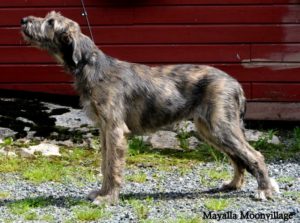Mayalla 4,5 month