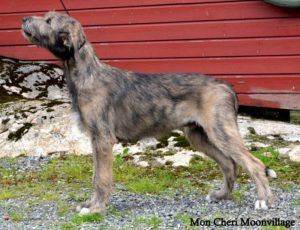 Mon Cheri 4,5 month