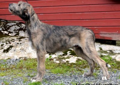Mon Cheri 4,5 month