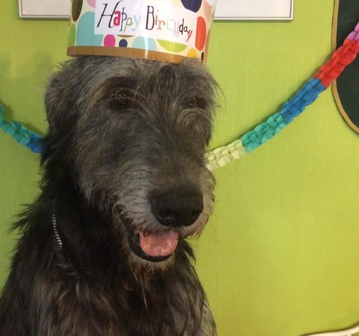 Happy birthday G-litter