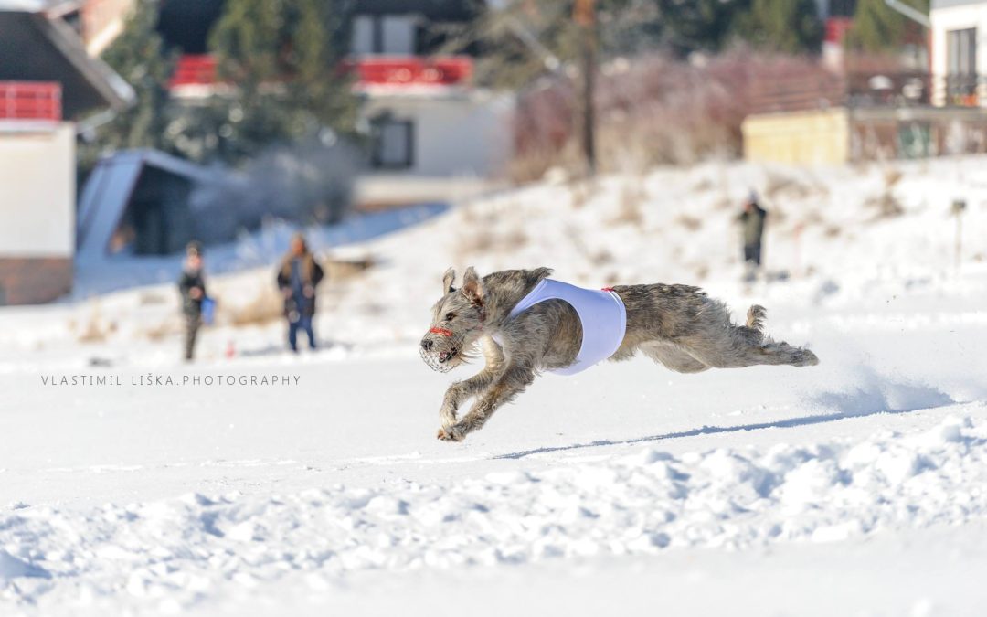 Best dog of the day…