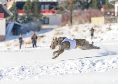 josephine in action