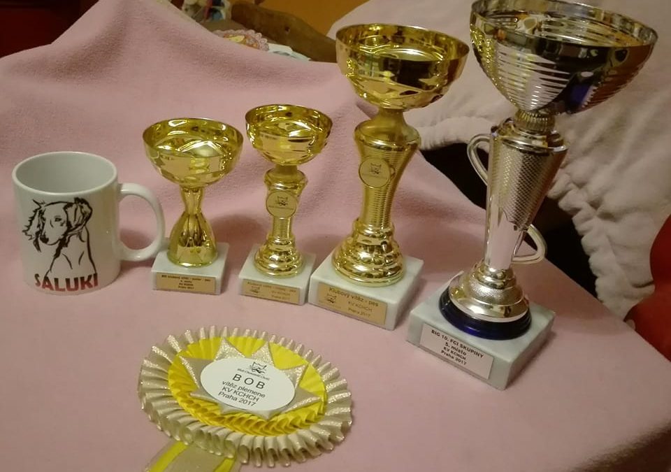 Leeroy Moonvillage – Junior class – Exc.1 CAJC