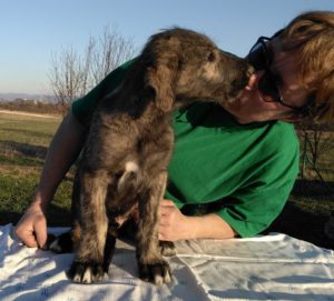 m-litter kiss