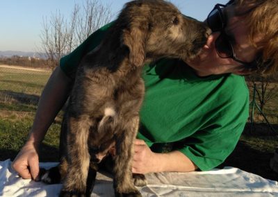 m-litter kiss