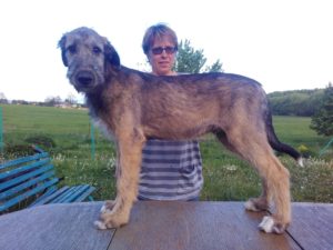 maxipez fix 15 weeks