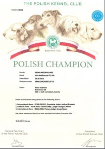 Indah polish champion