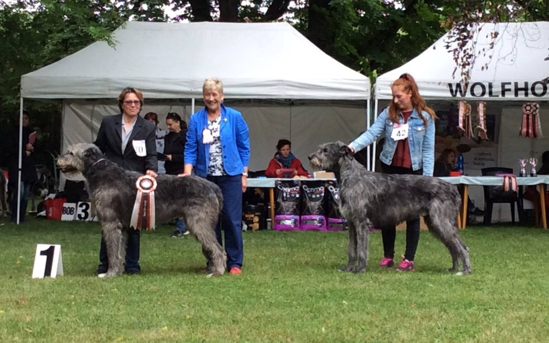 Wdk Club Show 2017-Club Winner 2017