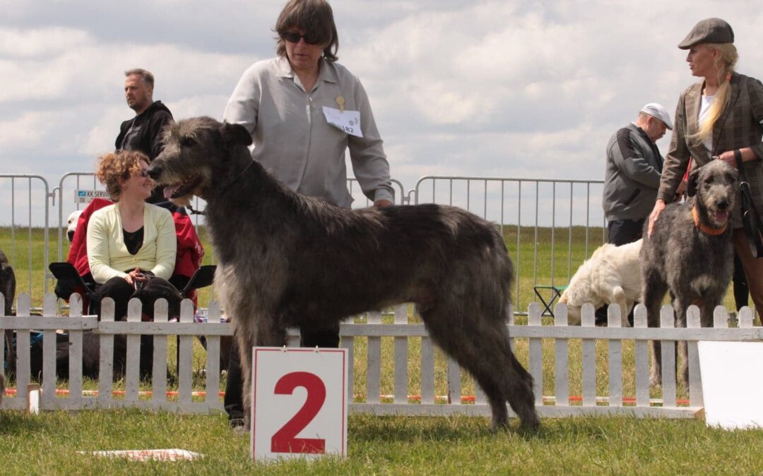 Marco Polo MoonVillage – father of P- and R-litter